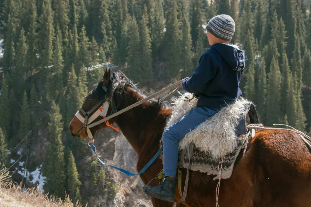 a child horse riding outdoors, a sunnah academy of sports horse riding course